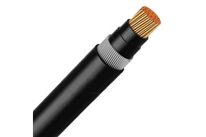 Câble N2XRY 0.6/1 kV (CU/XLPE/SWA/PVC)