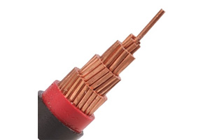 Câble N2XY 0.6/1 kV (CU/XLPE/PVC)