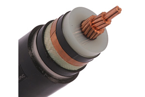 Câble unipolaire N2XSBY (CU/XLPE/STA/PVC)