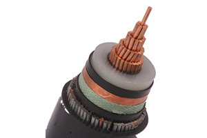 Câble unipolaire N2XSRY (CU/XLPE/SWA/PVC)