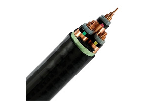 Câble tripolaire N2XSEY (CU/ XLPE/CTS/PVC)