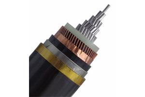 Câble unipolaire NA2XSBY (AL/XLPE/STA/PVC)