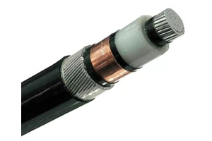 Câble unipolaire NA2XSRY (AL/XLPE/SWA/PVC)