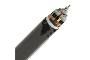 Câble Tripolaire NA2XSEY (AL/XLPE/CTS/PVC)